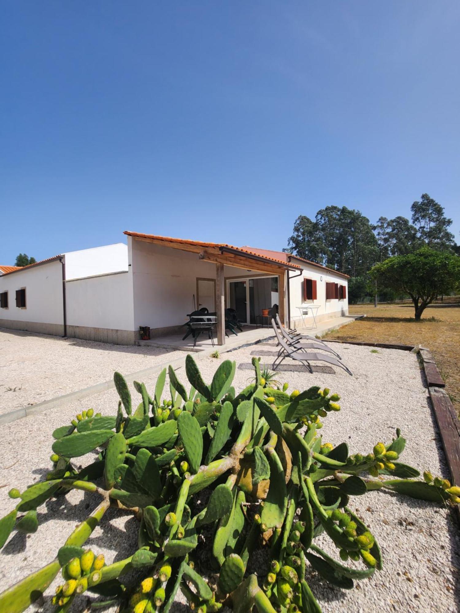 Quinta Das Camarinhas Cantanhede Zewnętrze zdjęcie